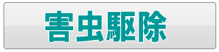 足立区の害虫駆除