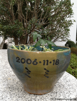 ペットのための家庭用樹木葬化粧鉢　お客様の声