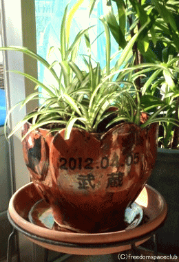 ペットのための家庭用樹木葬化粧鉢　お客様の声